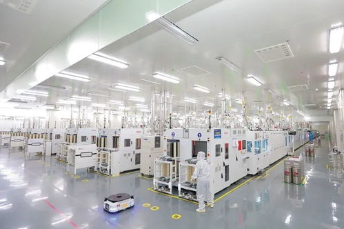 纳税亿元背后，这几家东阳企业增长动能曝光